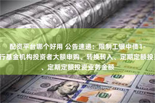 配资平台哪个好用 公告速递：限制工银中债1-5年进出口行基金机构投资者大额申购、转换转入、定期定额投资业务金额