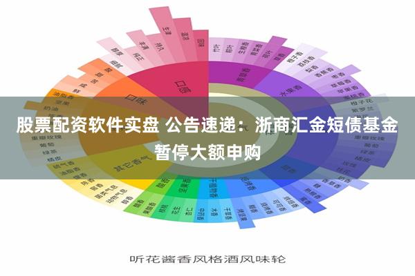 股票配资软件实盘 公告速递：浙商汇金短债基金暂停大额申购