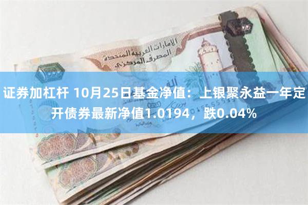 证券加杠杆 10月25日基金净值：上银聚永益一年定开债券最新净值1.0194，跌0.04%