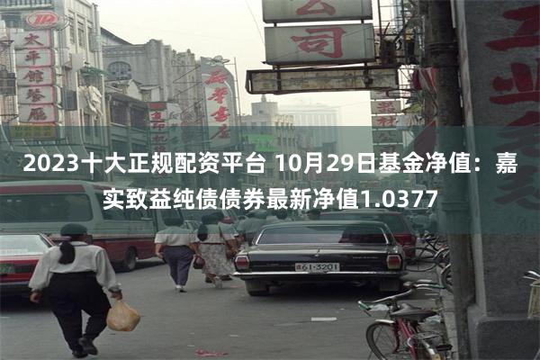 2023十大正规配资平台 10月29日基金净值：嘉实致益纯债债券最新净值1.0377