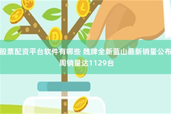 股票配资平台软件有哪些 魏牌全新蓝山最新销量公布 周销量达1129台