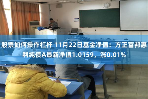 股票如何操作杠杆 11月22日基金净值：方正富邦惠利纯债A最新净值1.0159，涨0.01%