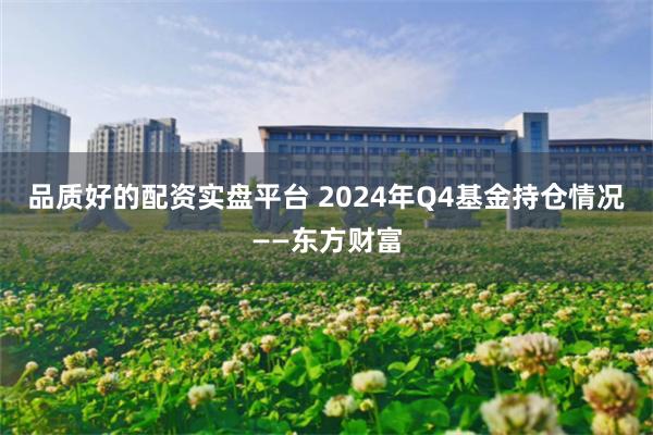 品质好的配资实盘平台 2024年Q4基金持仓情况——东方财富