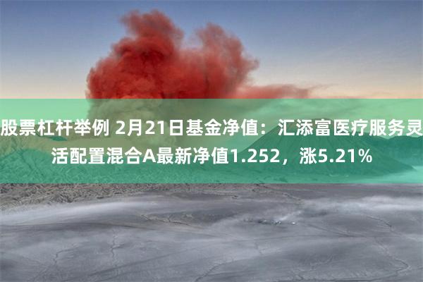 股票杠杆举例 2月21日基金净值：汇添富医疗服务灵活配置混合A最新净值1.252，涨5.21%