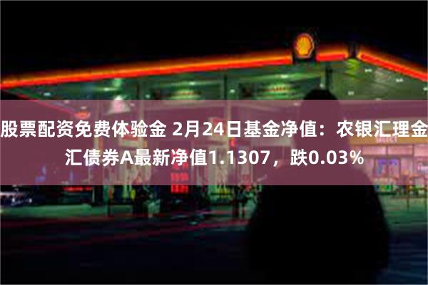 股票配资免费体验金 2月24日基金净值：农银汇理金汇债券A最新净值1.1307，跌0.03%